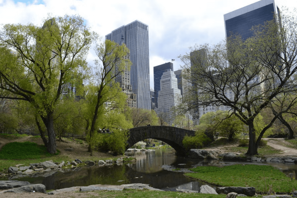 Tour por el Alto y Bajo Manhattan 🗺️
