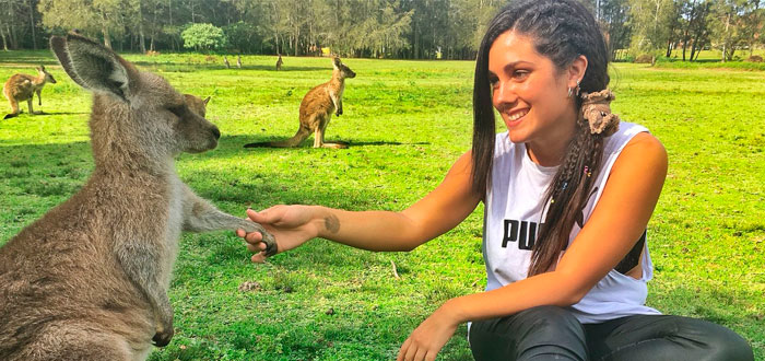 Canguros de Australia