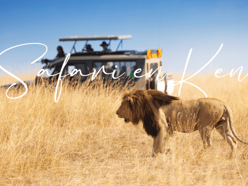 Safari en Kenia · 7 días | Desde&nbsp;2.105€