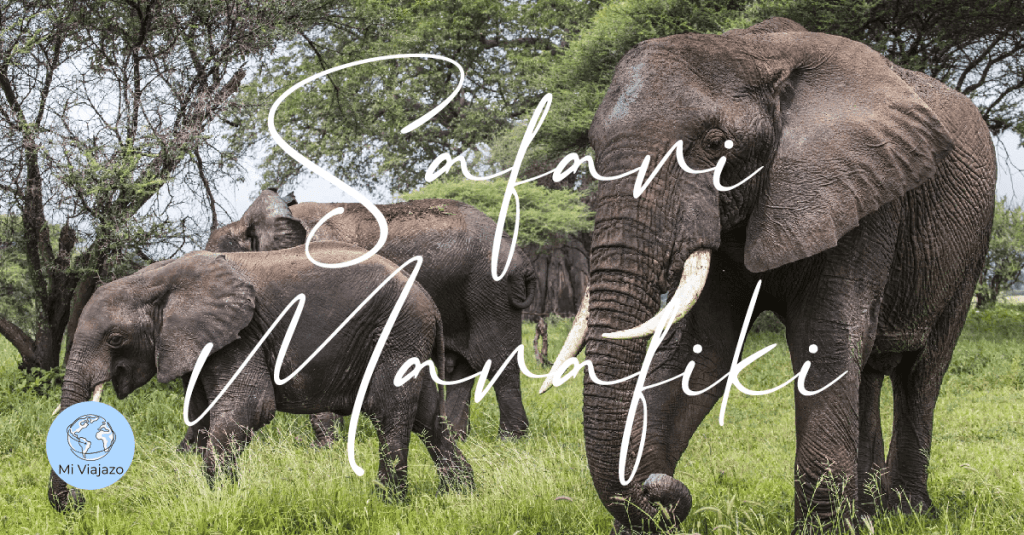 Safari Marafiki · 8 días | Desde&nbsp;3.070€