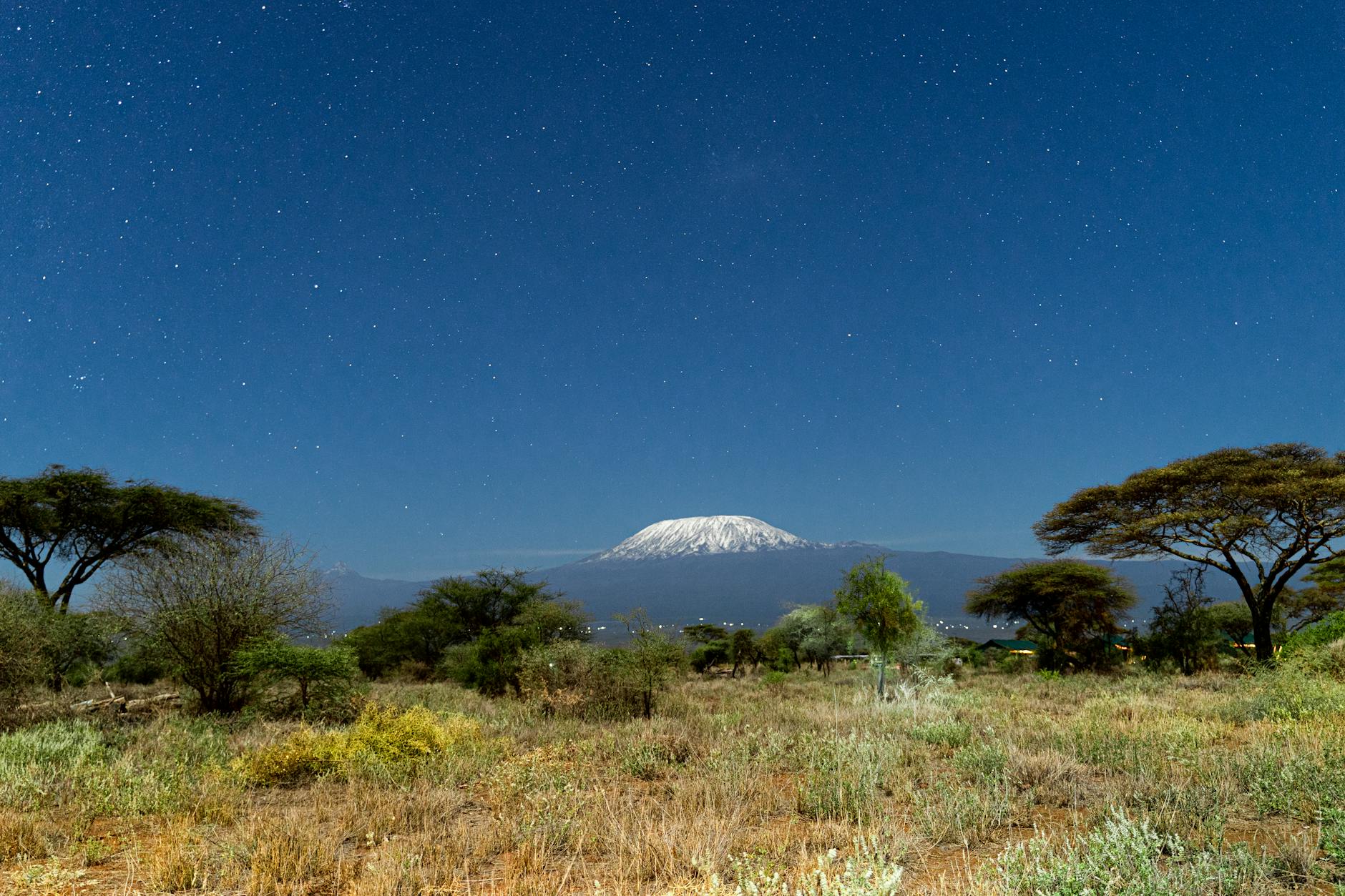 Kilimanjaro
